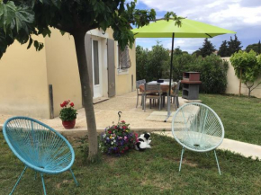 La petite maison des Muses jardin piscine pour 4 à 6 pers campagne Arlésienne